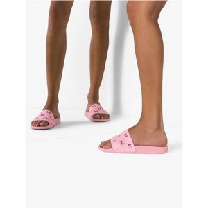 pursuit gg logo slides